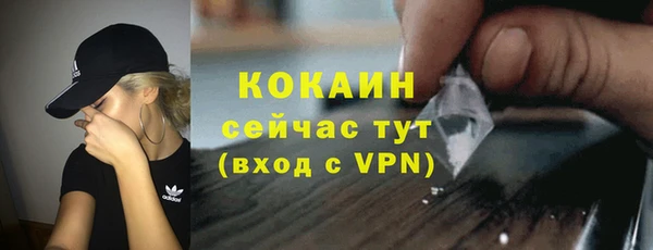 2c-b Дмитриев